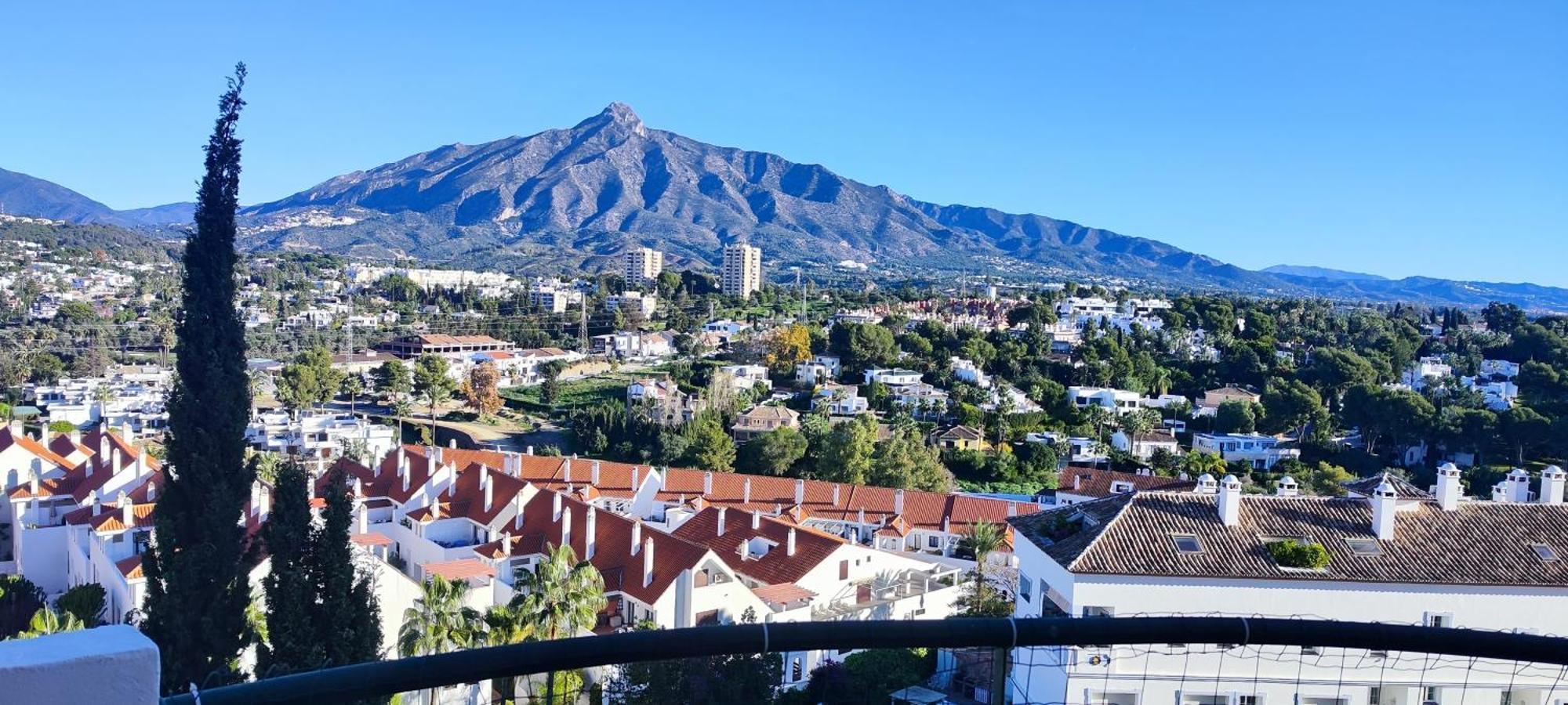 Stunning Views Senorio De Aloha *